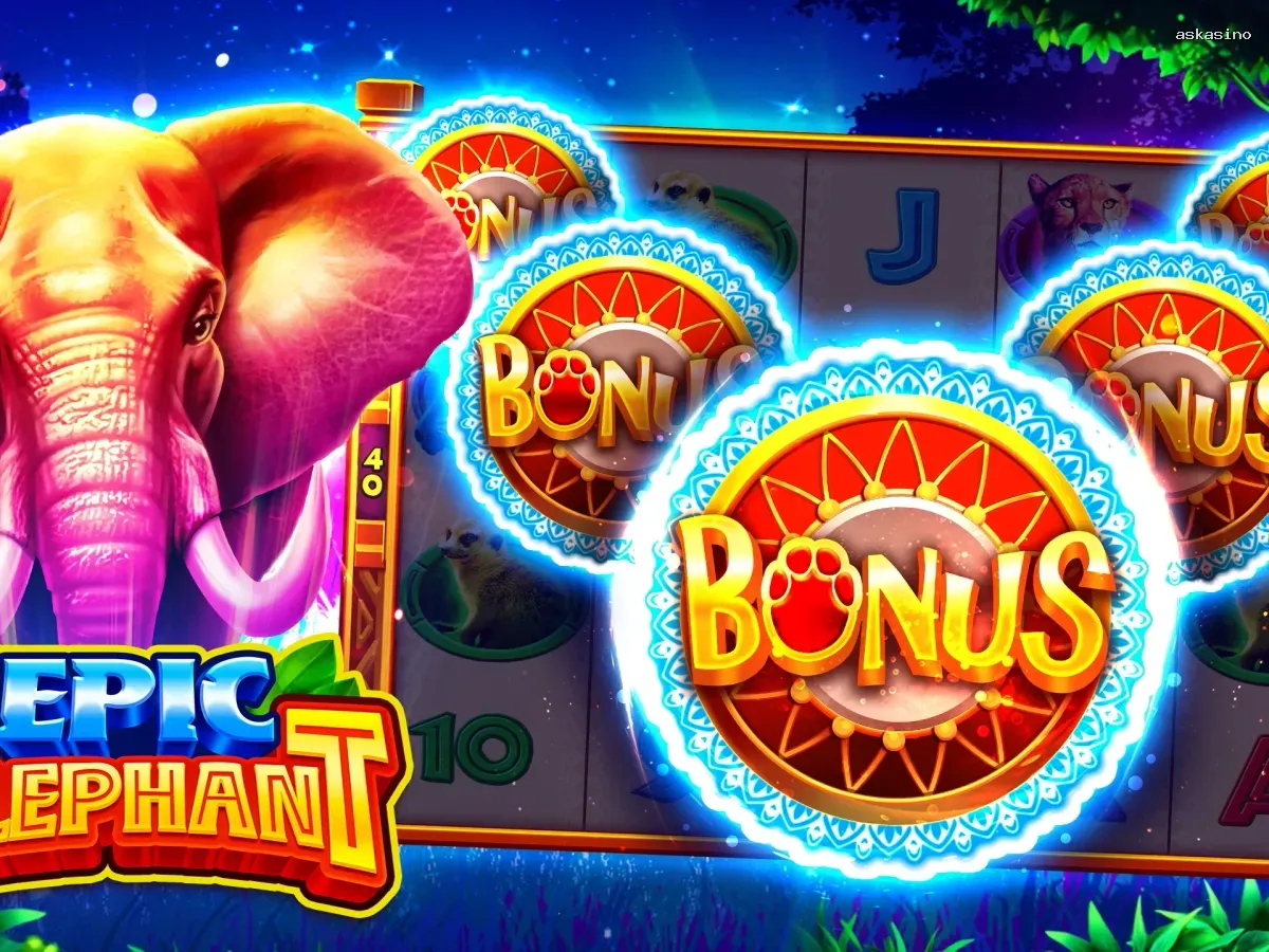 Akses askasino VIP Premium screenshot